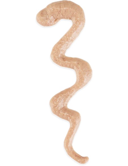 SCHESIR STIX SNACK CREAMY SALMÓN PARA GATOS - 12 X 6 X 15 GR 12 X 6 X 15 GR - 3