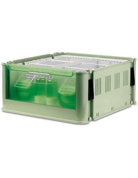 2G-R TRANSPORTIN TINO 