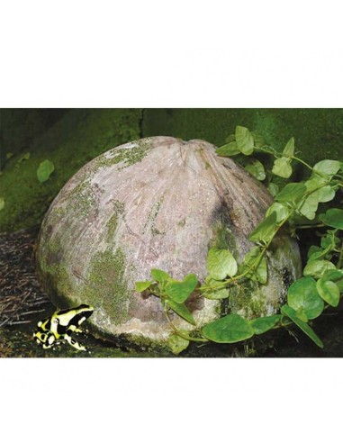 DRAGON TERRARISTIK CÁSCARA DE COCO NATURAL CON FIBRA VEGETAL