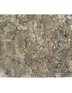 DRAGON TERRARISTIK PLACA DE CORCHO NATURAL 30X60 CM DESERT FOREST - 2