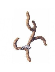 DRAGON TERRARISTIK COCO-TRONCHO FLEXIBLE APROX. 40 CM APROX. 80 CM - 2 2