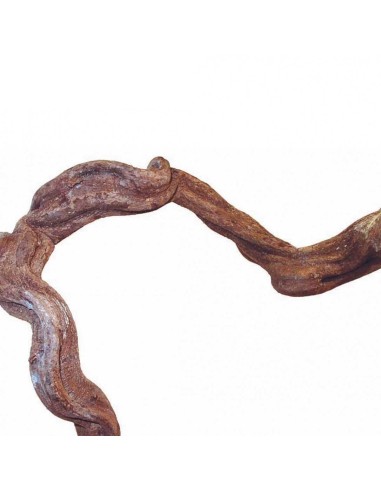 DRAGON TERRARISTIK DRAGON LIANA FLEXIBLE 120 CM 180 CM - 5