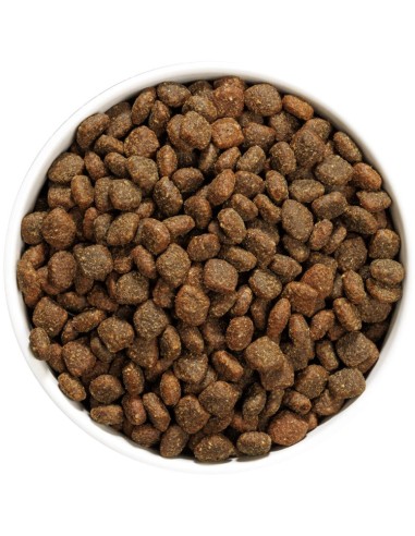 OWNAT AUTHOR FRESH DUCK & CHICKEN 3 KG 10 KG