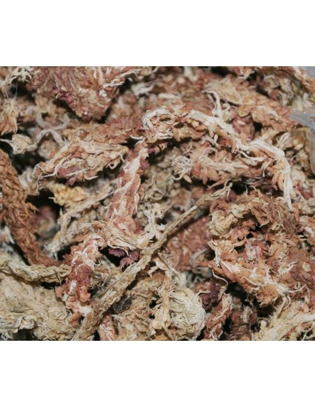 DRAGON TERRARISTIK SUSTRATO NATURAL SPHAGNUM-MOOS 5 L - 4