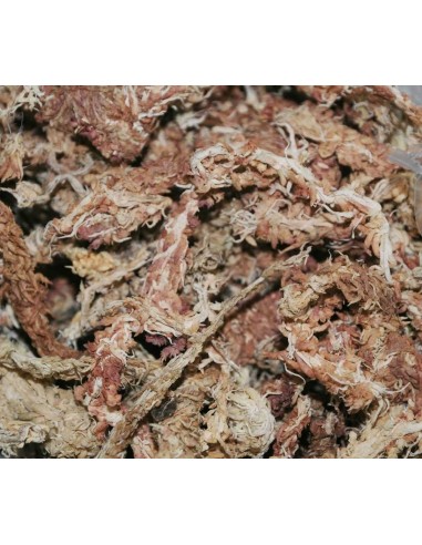 DRAGON TERRARISTIK SUSTRATO VERDE SPHAGNUM-MOOS 5 L - 4