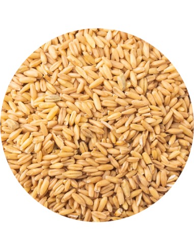 PET CUP AVENA PELADA - 850 GR 850 GR