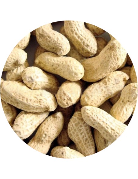 PET CUP CACAHUETE CON CASCARA - 1,5 KG 1 5 KG