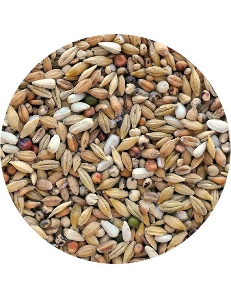 PET CUP MIXTURA PALOMOS DEPURATIVA - 20 KG 20 KG