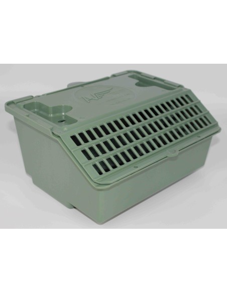 MOLDES AVE TRASNPORTÍN EL ARCA 