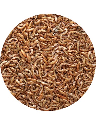 PET CUP GAMMARUS 100 GR 30 GR