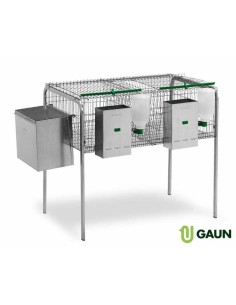 GAUN JAULA CONEJOS GALICIA