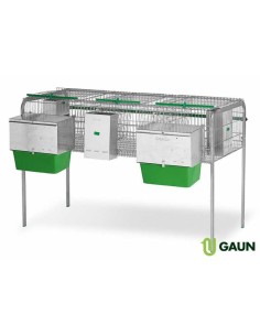 GAUN JAULA CONEJOS LIMA II