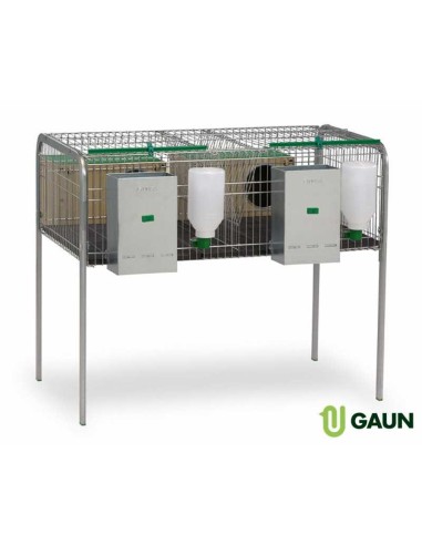 GAUN JAULA CONEJOS SILLEDA 2 - 2