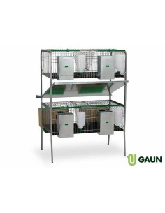 GAUN JAULA CONEJOS SILLEDA 2 PISOS 4 - 2