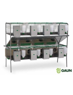 GAUN JAULA CONEJOS SILLEDA 2 PISOS 4 - 2 2