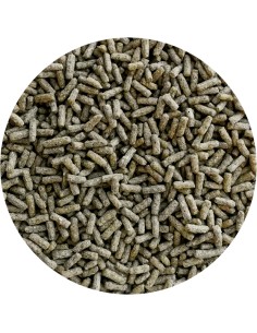 PET CUP ALIMENTO TORTUGA JUNIOR - 40 GR 40 GR 2