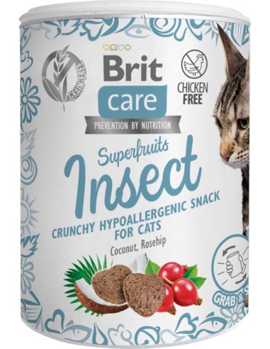 BRIT CARE CAT SNACK SUPERFRUITS INSECT - 100 GR 100 GR