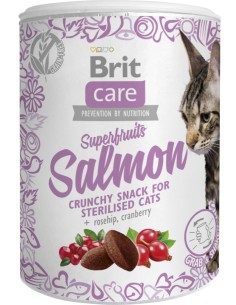 BRIT CARE CAT SNACK SUPERFRUITS SALMON - 100 GR 100 GR - 2