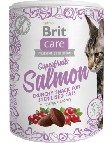 BRIT CARE CAT SNACK SUPERFRUITS SALMON - 100 GR 100 GR - 2
