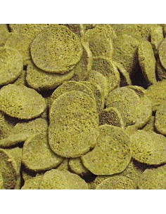 SERA WELS-CHIPS NATURE 100 ML (38 GR) - 2 2