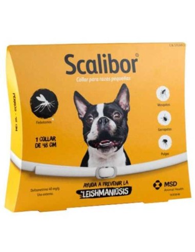 MSD COLLAR SCALIBOR PERROS PEQUEÑOS