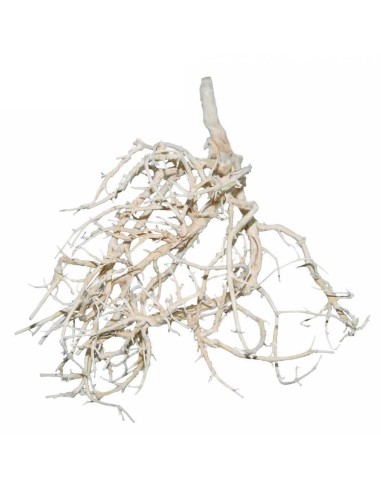 DRAGON TERRARISTIK ARBUSTOS SECOS NATURALES BLANCOS (4 PIEZAS)