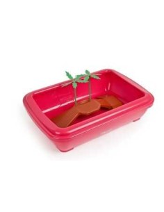 PEDRÓS TORTUGUERA BAHAMAS