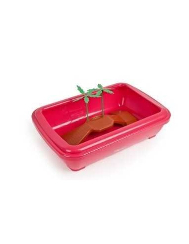 PEDRÓS TORTUGUERA BAHAMAS