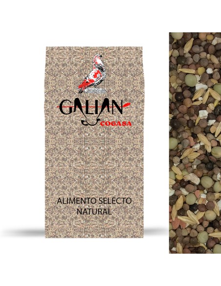 GALIAN COGASA MIXTURA MANTENIMIENTO N. 3 PALOMOS DEPORTIVOS - 20 KG 20 KG - 2