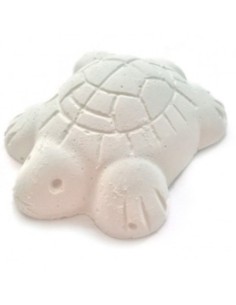 ACUALIAN CALCIO TORTUGA - 2