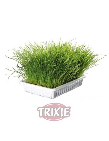 TRIXIE BANDEJA BIO HIERBA PARA GATOS - 100 GR 100 GR - 2