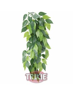 TRIXIE PLANTA SEDA COLGANTE TERRARIOS FICUS Ø20 X 30 CM Ø20 X 50 CM - 2