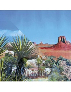 TRIXIE FONDO DECORATIVO TERRARIOS DOBLE CARA I 60 X 150 CM - 2