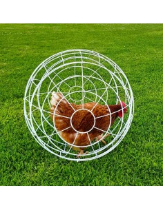 GAUN ESFERA PARA GALLINAS - Ø 55 CM Ø 55 CM - 2