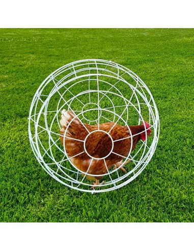 GAUN ESFERA PARA GALLINAS - Ø 55 CM Ø 55 CM - 2