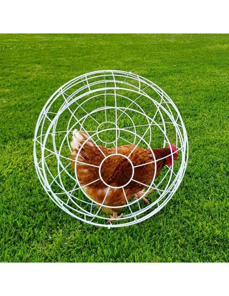 GAUN ESFERA PARA GALLINAS - Ø 55 CM Ø 55 CM - 2