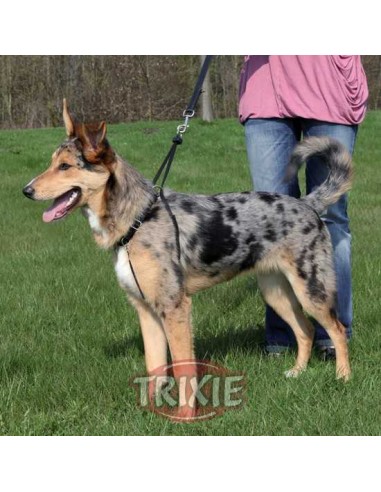 TRIXIE ARNÉS ENTRENAMIENTO EASY WALK BASIC NEGRO NEGRO NEGRO NEGRO S (27-36 CM / 20 MM) M (33-47 CM / 25 MM) L (45-65 CM / - 2