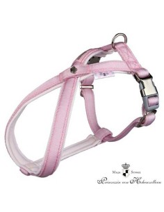 TRIXIE PETRAL DOG PRINCESS