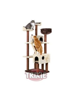 TRIXIE POSTE RASCADOR FELICITAS MARRÓN / BEIGE 70 X 61 X 190 CM - 2