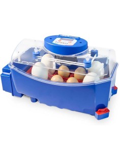 BOROTTO INCUBADORA AUTOMÁTICA LUMIA 8