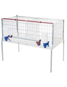 COPELE JAULA PARA POLLOS DE ENGORDE - 2 DEPARTAMENTOS 