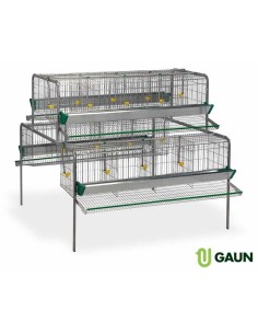 GAUN BATERÍA PONEDORAS - 16 DEPARTAMENTOS