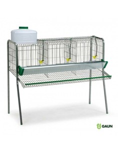 GAUN BATERÍA PONEDORAS - 3 DEPARTAMENTOS