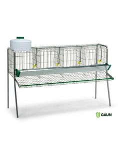 GAUN BATERÍA PONEDORAS - 4 DEPARTAMENTOS