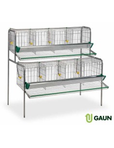 GAUN BATERÍA PONEDORAS - 8 DEPARTAMENTOS