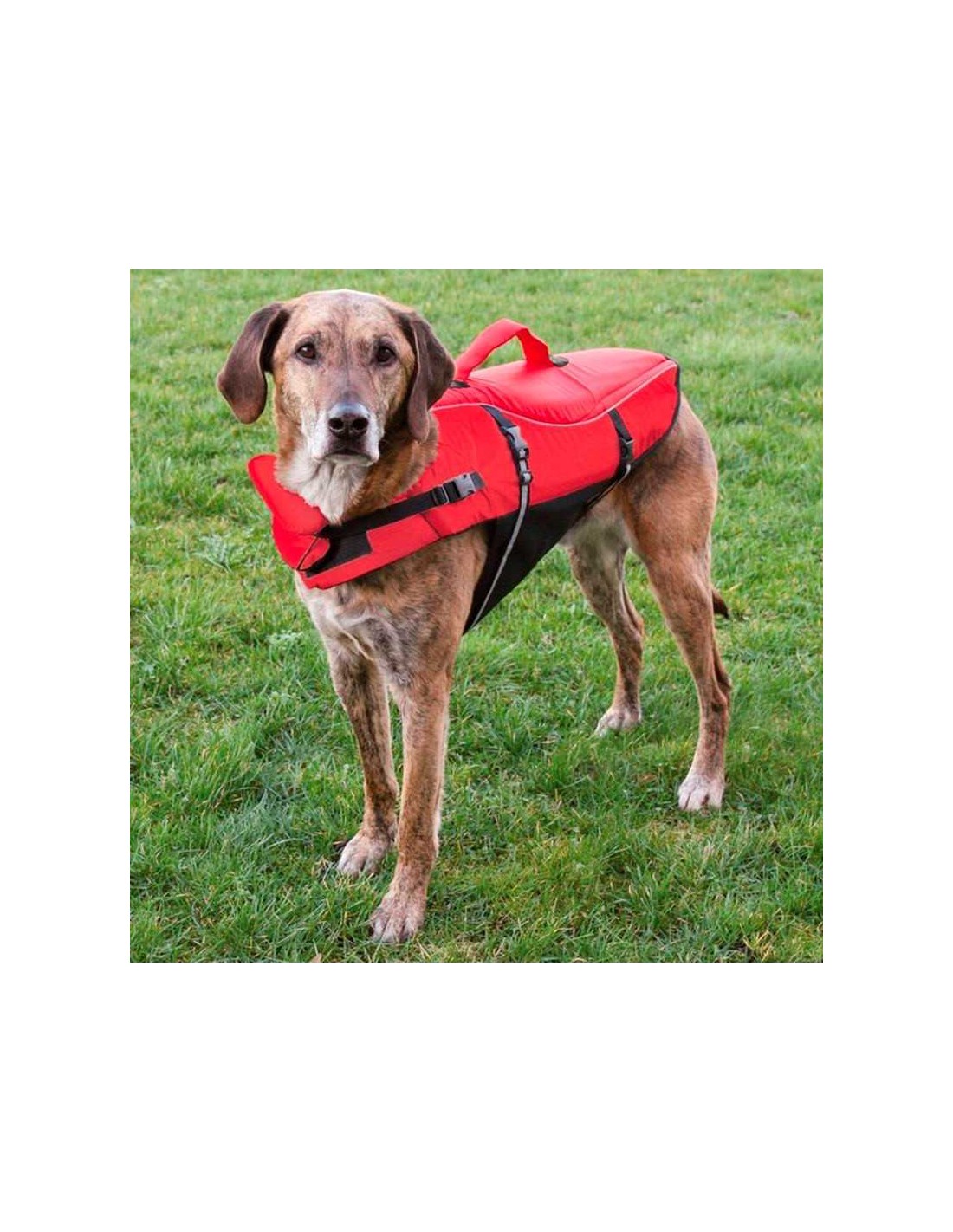 CHALECO SALVAVIDAS PARA PERROS