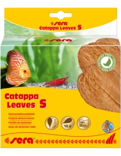 SERA CATAPPA LEAVES - 10 UNIDADES S (10 - 15 CM) - 2