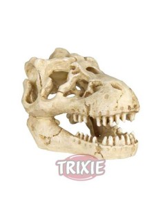 TRIXIE CRÁNEO DE TIRANOSAURUS REX 8 - 11 CM - 2