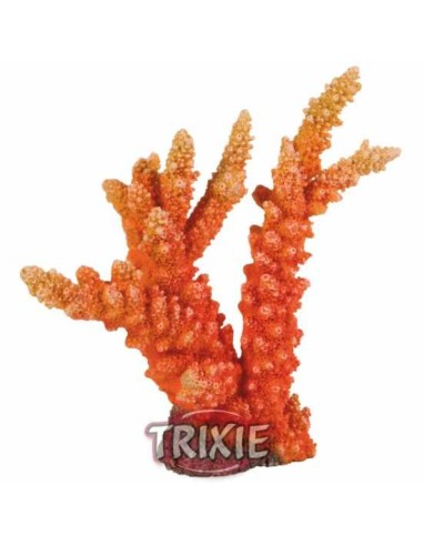 TRIXIE CORAL - 18 CM 18 CM - 2