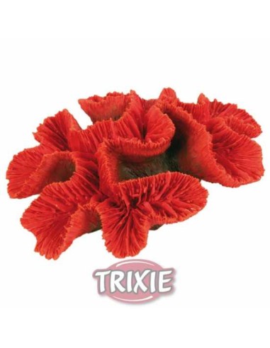 TRIXIE CORAL - 16 CM 16 CM - 2